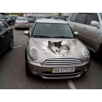3d наклейка на капот 3D TUNING STUDIO Вовки Wolves 700х700х0.080мм