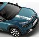 Смуги на капот Ситроен Citroen C4 Cactus 980х150мм