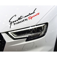 Наклейка на авто 3D TUNING STUDIO Спорт Sports Mind produced by sports 300х105х0.15мм