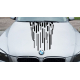 Смуги на капот авто 3D TUNING STUDIO Дощ 980х546мм