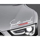 Наклейка на авто Тойота Sports mind Toyota 300х100мм