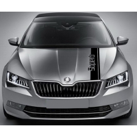 Смуги на авто 3D TUNING STUDIO Шкода СуперБ 1180х150х0.080мм