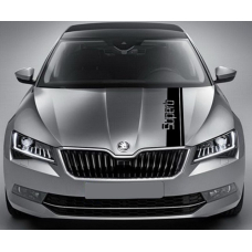 Смуги на авто 3D TUNING STUDIO Шкода СуперБ 1180х150х0.080мм