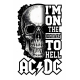 Наклейка на авто Череп AC/DC 400х250х0.080мм