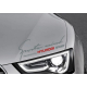 Наклейки на авто Хюндай Sports mind hyundai 300х100х0.15мм=2штуки