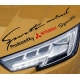 Наклейка на авто Міцубіші Sports Mitsubishi 400х100х0.15мм