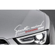 Наклейки на капот Фольксваген Sports mind Volkswagen 290х110х0.080мм