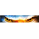 Наклейка на лобове скло Очі орла 1300х210х0.15мм