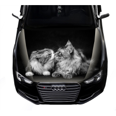 Наклейка на капот ARB 3D TUNING STUDIO Кіт и кішка 1500х1200х0.080мм