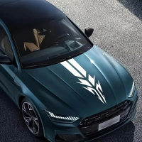 Смуги на капот ARB 3D TUNING STUDIO Стріли 980х240х0.070мм