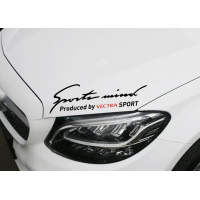 Наклейка на капот ARB 3D TUNING STUDIO Спорт вєктра 320х90х0.150мм