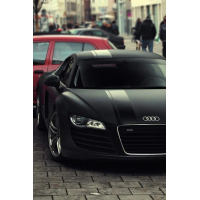 Смуги на авто 3D TUNING STUDIO Audi R8 1200х960х0.060мм 108200126