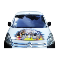 Наклейка на капот 3D TUNING STUDIO Череп 2 1200х1500х0.080мм
