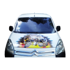 Наклейка на капот 3D TUNING STUDIO Череп 2 1200х1500х0.080мм