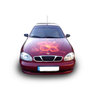 Наклейка на капот 3D TUNING STUDIO Ланос квітка вогонь 1480х13700х0.080мм
