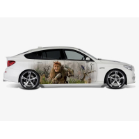 Наклейки на двері авто 3D TUNING STUDIO Баба Яга 2200х770мм=2штуки
