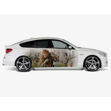 Наклейки на двері авто 3D TUNING STUDIO Баба Яга 2200х770мм=2штуки