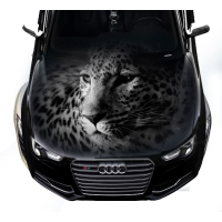 Наклейка на капот 3D TUNING STUDIO Леопард Білий 1500х1200мм
