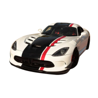 Смуги на авто 3D TUNING STUDIO Додж 2100х1050х0.14мм