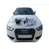 Наклейка на капот 3D TUNING STUDIO Дельфіни-21 1500х1200х0.080мм