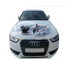 Наклейка на капот 3D TUNING STUDIO Дельфіни-21 1500х1200х0.080мм