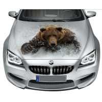 3д наклейка на капот 3D TUNING STUDIO Бурий Ведмідь 1200х1500х0.080мм