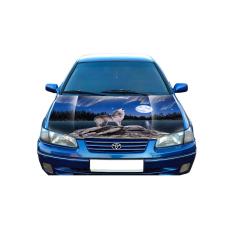 3д наклейка на капот 3D TUNING STUDIO Вовк Місяць 1200х1500х0.080мм