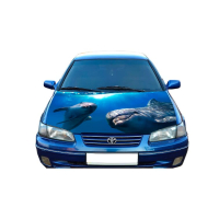 Наклейка на капот 3D TUNING STUDIO Дельфіни Dolphins 1200х1500х0.080мм