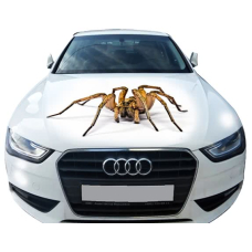 Наклейка на капот 3D TUNING STUDIO Павук 1 1200х1500х0.080мм