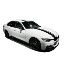 Смуги на авто 3D TUNING STUDIO Ч2 4050х240х0.060мм