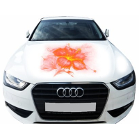 3д наклейка на капот 3D TUNING STUDIO Квітка Fl Or 1200х1500х0.080мм