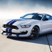 Вінілові смуги на форд мустанг 3D TUNING STUDIO Blue-Ultrmarin 1500х900х0.060мм