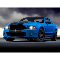 Смуги на форд мустанг 3D TUNING STUDIO Black-2 2100х960х0.060мм