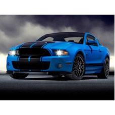 Смуги на форд мустанг 3D TUNING STUDIO Black-2 2100х960х0.060мм