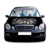 3д наклейка на капот 3D TUNING STUDIO Mercedes 1600х1500х0.080мм