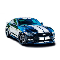 Смуги на авто 3D TUNING STUDIO Форд мустанг БМ 2100х960х0.060мм
