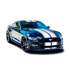 Смуги на авто 3D TUNING STUDIO Форд мустанг БМ 2100х960х0.060мм