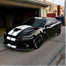 Смуги на Dodge charger 3D TUNING STUDIO білі 3000х1000х0.060мм