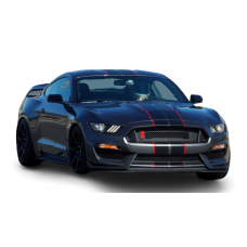 Смуги на авто 3D TUNING STUDIO Форд мустанг ЧК 1500х1350х0.14мм