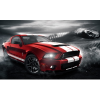 Смуги на форд мустанг 3D TUNING STUDIO GT500 2600х1000х0.060мм