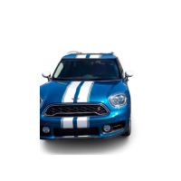 Смуги на міні-купер 3D TUNING STUDIO Подвійні 1574х932х0.060мм