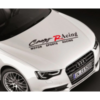 Смуги на авто 3D TUNING STUDIO Crazy Racing 800х270х0.15мм