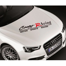 Смуги на авто 3D TUNING STUDIO Crazy Racing 800х270х0.15мм