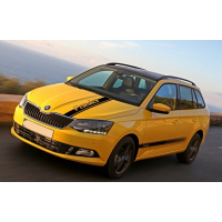 Смуги на авто 3D TUNING STUDIO Шкода Фабіа 980х550х0.060мм