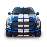 Смуги на авто 3D TUNING STUDIO Форд Ф150 Раптор Шелбі 2100х250х0.060мм=4шт